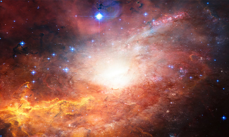 L’univers a-t-il un but ?